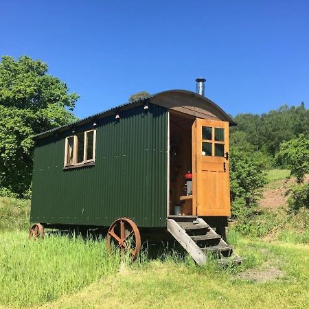 캐슬더글러스 Cosy Woodland Off Grid Shepherds Hut - Rowan 빌라 외부 사진