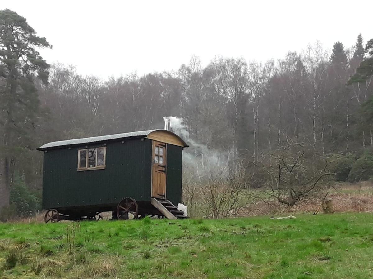 캐슬더글러스 Cosy Woodland Off Grid Shepherds Hut - Rowan 빌라 외부 사진
