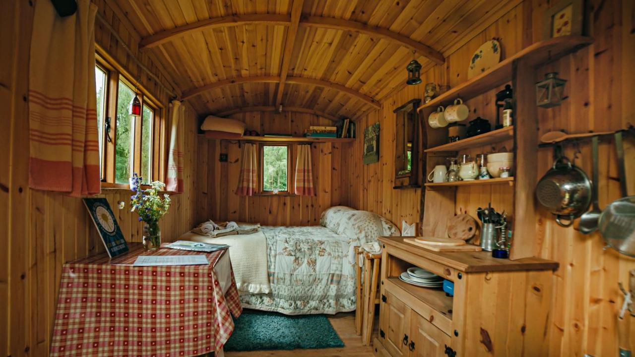 캐슬더글러스 Cosy Woodland Off Grid Shepherds Hut - Rowan 빌라 외부 사진