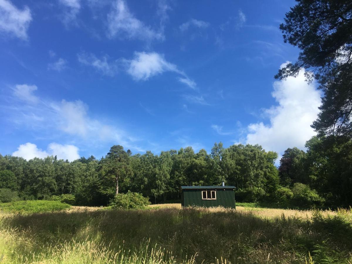 캐슬더글러스 Cosy Woodland Off Grid Shepherds Hut - Rowan 빌라 외부 사진